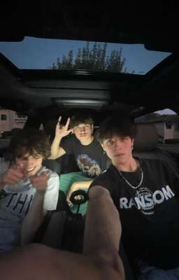 Новый дом. Sturniolo triplets