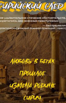Сирийский след