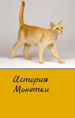 История Монетки