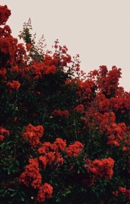 Не родись красивой. Другая история