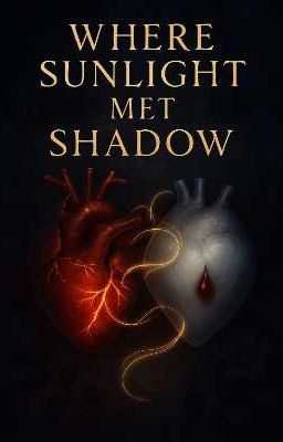 Там, где солнце встретилось с тенью. 