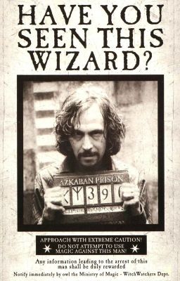 Кресная Гарри Поттера или Любимая Сириуса Блэка