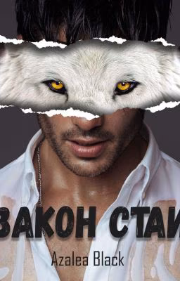 Закон стаи