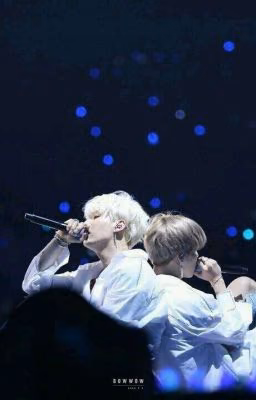  •<Yoonmin>•