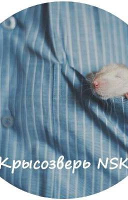 Мой Дневник | Худеем | Саморозвитие