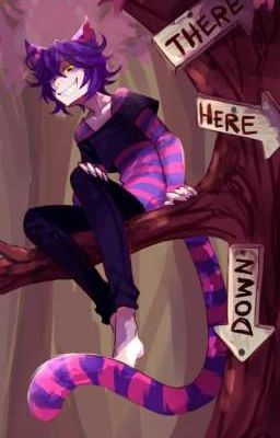 как я гуляла или 4 новых "котика"