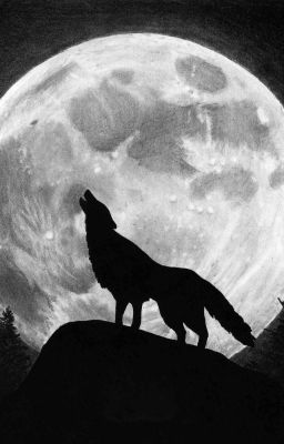 Любовь оборотня