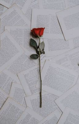 Лучшие книги на Wattpad