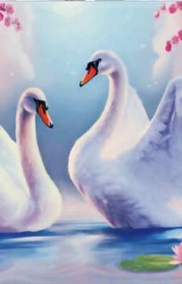 « Не могут жить в разлуке лебеди...»