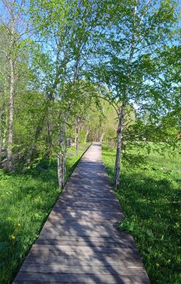 Путь Лоэрна