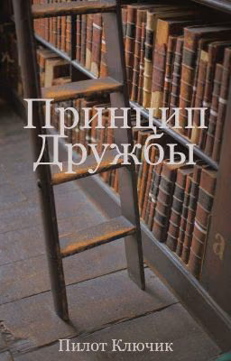 Принцип дружбы