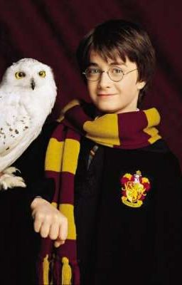 Отец для Гарри