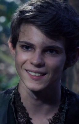 Новая игрушка 