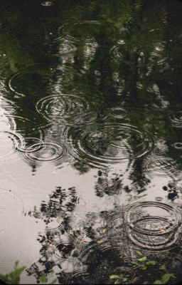 Мой дождик🌧️