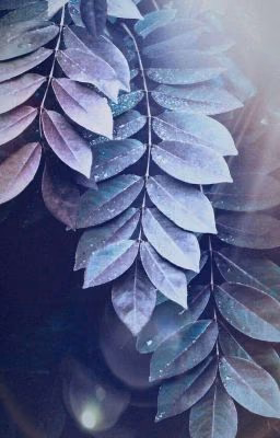 ×/| Pę@kции ŦřaŋşFøŕmērŝ: Pŕīmē |\× ∆ЗАМОРОЖЕННО∆