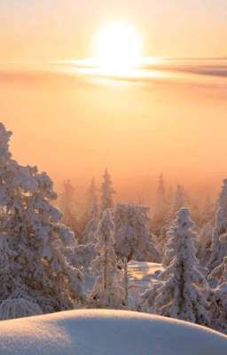 Незаконная Роскошь