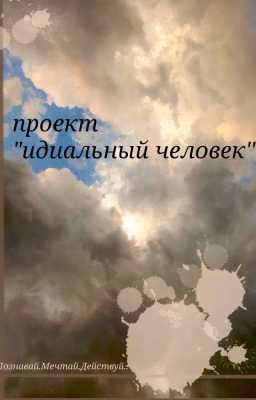 Проект "Идеальный Человек"