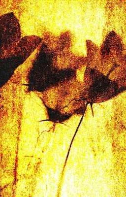 Октябрьская любовь