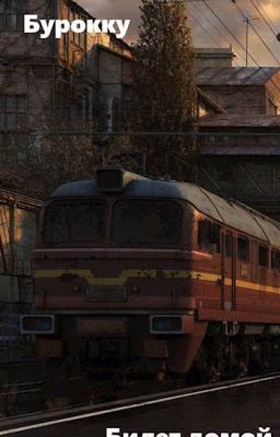 Билет домой