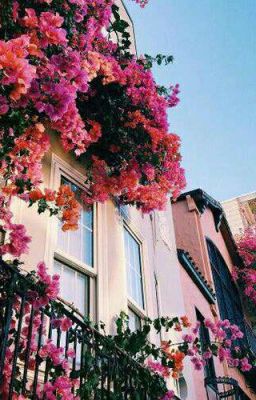 Будет ли светлым день?