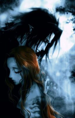 Слишком много