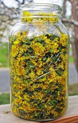 Речи бунтовщика