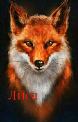 Лиса