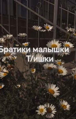 братики малышки т/и)
