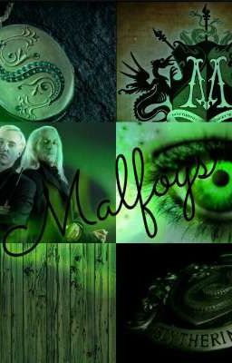 Чистокровка