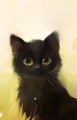 Другая Кошка