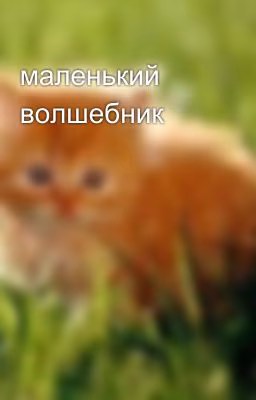 маленький волшебник