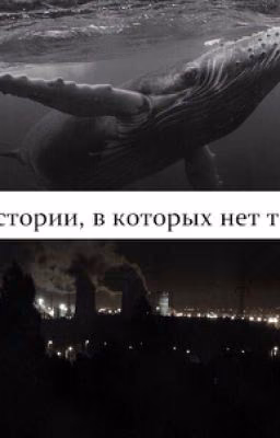 Истории, В Которых Нет Тебя.