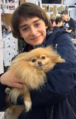 Школа сближает людей.. /Noah Schnapp