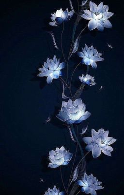 ❖❦Любовная история студентки❦❖