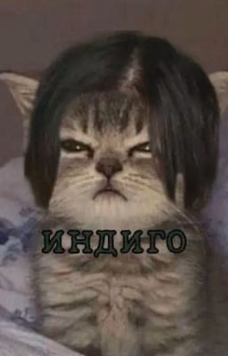 в другой город?!