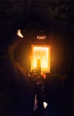 🌲(skibidi toilet.) The fires of death🔥