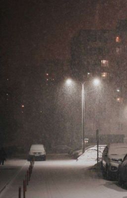 во время снегопада