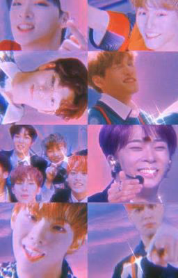 ᴍᴄɴᴅ ᵒᶠᶠⁱᶜⁱᵃˡ || ɴᴇᴡs, ᴘʀᴏғɪʟᴇs, ᴄᴏᴍᴇʙᴀᴄᴋs