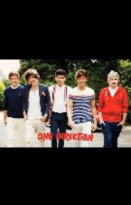 Жизнь с 1D