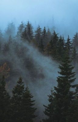 Бьянка и семь телохранителей