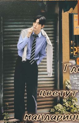 ₊˚｡⋆ГДЕ ЦВЕТУТ МАНДАРИНЫ⋆｡˚₊