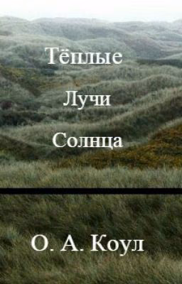 Тёплые лучи солнца