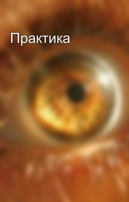 Практика