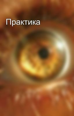 Практика