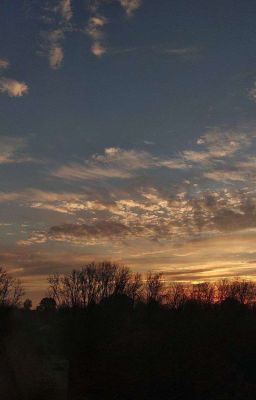 :Вам всегда плохо? :Нет нам всегда похуй✌🙄💋