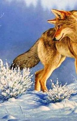 Филиппо и Хвастун