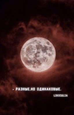 • разные,но одинаковые. [ P.M ]