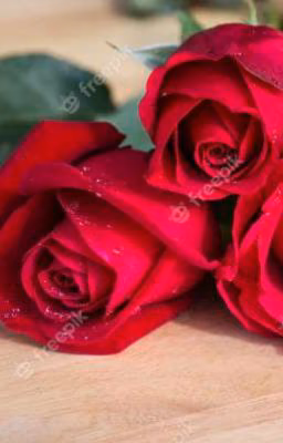 🌹Красные Розы любви🌹
