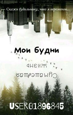Мои будни в  сумасшедшей жизни