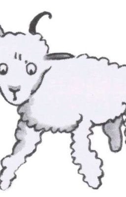 Кудрявый барашек с больной головой 